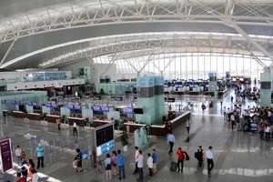 Minister of transport calls for resumption of international flights