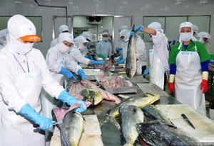 Seafood exports continue reduction in Q2