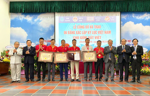 Vietnamese manufactured bricks set six records