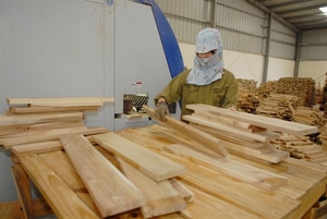 Trade defence investigations into wood products on the rise