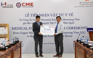 Medical supplies handed over to Vietnamese community in South Korea