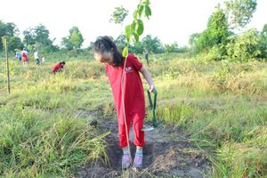 Students plant trees in southern nature reserve