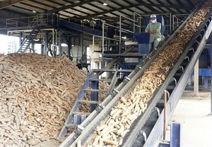 Cassava exports up by 15.2 per cent in volume in first seven months