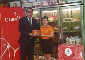 Chilean apples to return to the Vietnamese market