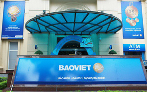 Local shares up, BVH jumps 4.6%