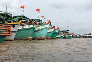 Ca Mau focuses on developing robust marine economy