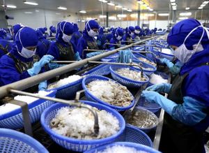 Bright prospects for fisheries sector in final quarter