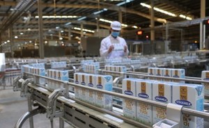 Two more Vietnamese dairy producers licensed to export to China
