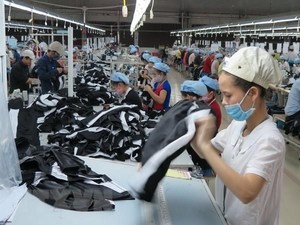 Viet Nam maintains stable exports to Israel in 2020
