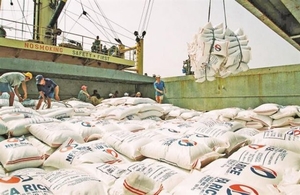 Viet Nam imports Indian broken rice