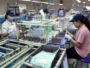 Investments in HCM City industrial parks surge