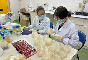 Viet Nam to further develop biotechnology industry by 2030