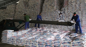 Viet Nam likely to achieve rice export target this year