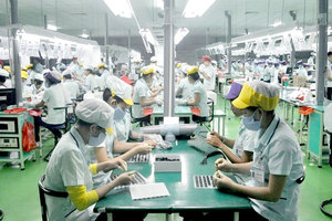 Experts seek ways for Viet Nam to have healthier supply chain
