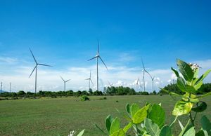 Trungnam Group inaugurates wind power plant No.5 in Ninh Thuan