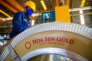Hoa Sen, Nam Kim's gross profit margin to fall deeply in 2022: SSI Research