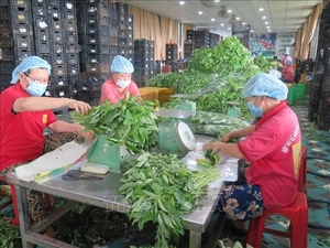 HCM City promotes local agricultural produce at affordable prices