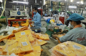 Viet Nam's trade revenue to surpass $660 billion by year-end