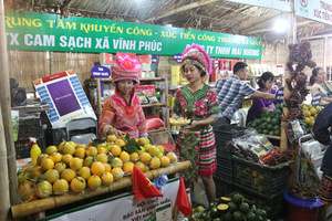 One Commune One Product attracts Tet shoppers