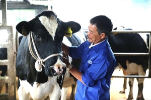 Moc Chau Milk target highest ever profit and revenue
