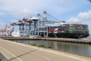 Increasing maritime transport cost making export difficult