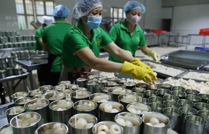 Viet Nam’s exports to the US expected to rise sharply
