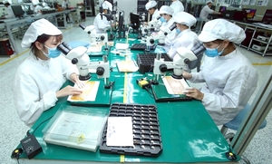 Viet Nam, US target sustainable trade ties