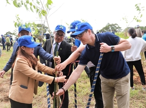 Novaland to help plant 50 million trees in Central Highlands province