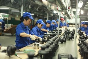 German firms optimistic about Vietnamese economy