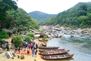 Binh Dinh gives in-principle approval to urban, eco-tourism project