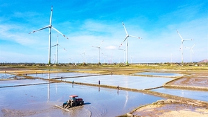 Wind power sector attractive to investors, construction firms