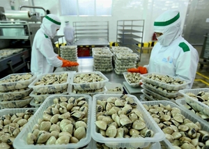 Viet Nam sees strong import, export recovery in first quarter