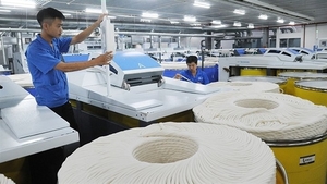 India removes anti-dumping duties for Vietnamese fibres