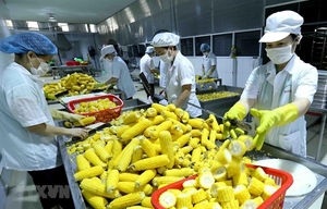 Viet Nam needs to invest in processing, packaging of agricultural products: experts