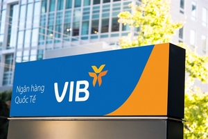 VIB increases charter capital, issue bonus shares at 40%