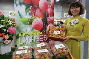 Vietnamese lychees sell like hotcakes in Australia