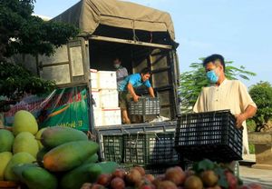 Ha Noi promotes consumption of farming products