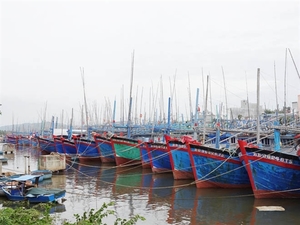 Binh Dinh proposes withdrawing two local ports from planning