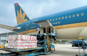 CAAV asks MoT to deny new air cargo carrier