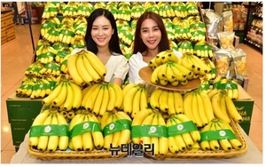 VN sixth-largest supplier of bananas to RoK