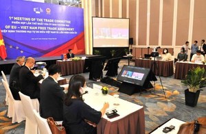 Viet Nam, EU review bilateral trade deal implementation