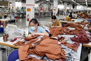 Viet Nam, Laos enjoy growth in two-way trade in H1