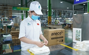 An Phat Holdings accelerates progress of Southeast Asia’s largest green material manufacturing plant