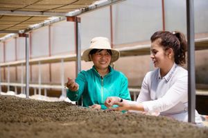 King Coffee announces project connecting farm produce suppliers