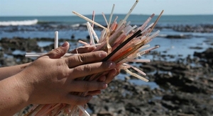 Viet Nam enterprises to say no to plastic straws