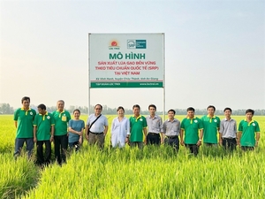 Loc Troi Group named prestigious rice exporter for third consecutive year