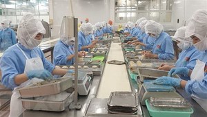Seafood industry urges COVID vaccination soon for its workers as exporters struggle