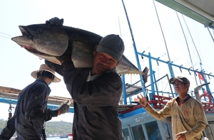 Viet Nam becomes largest tuna exporter of Israel