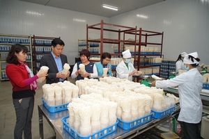 Ha Noi improves farm produce processing capacity