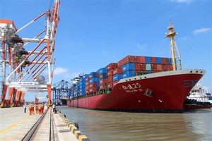 Ships and goods through Cai Mep – Thi Vai port up 2 per cent in 2021